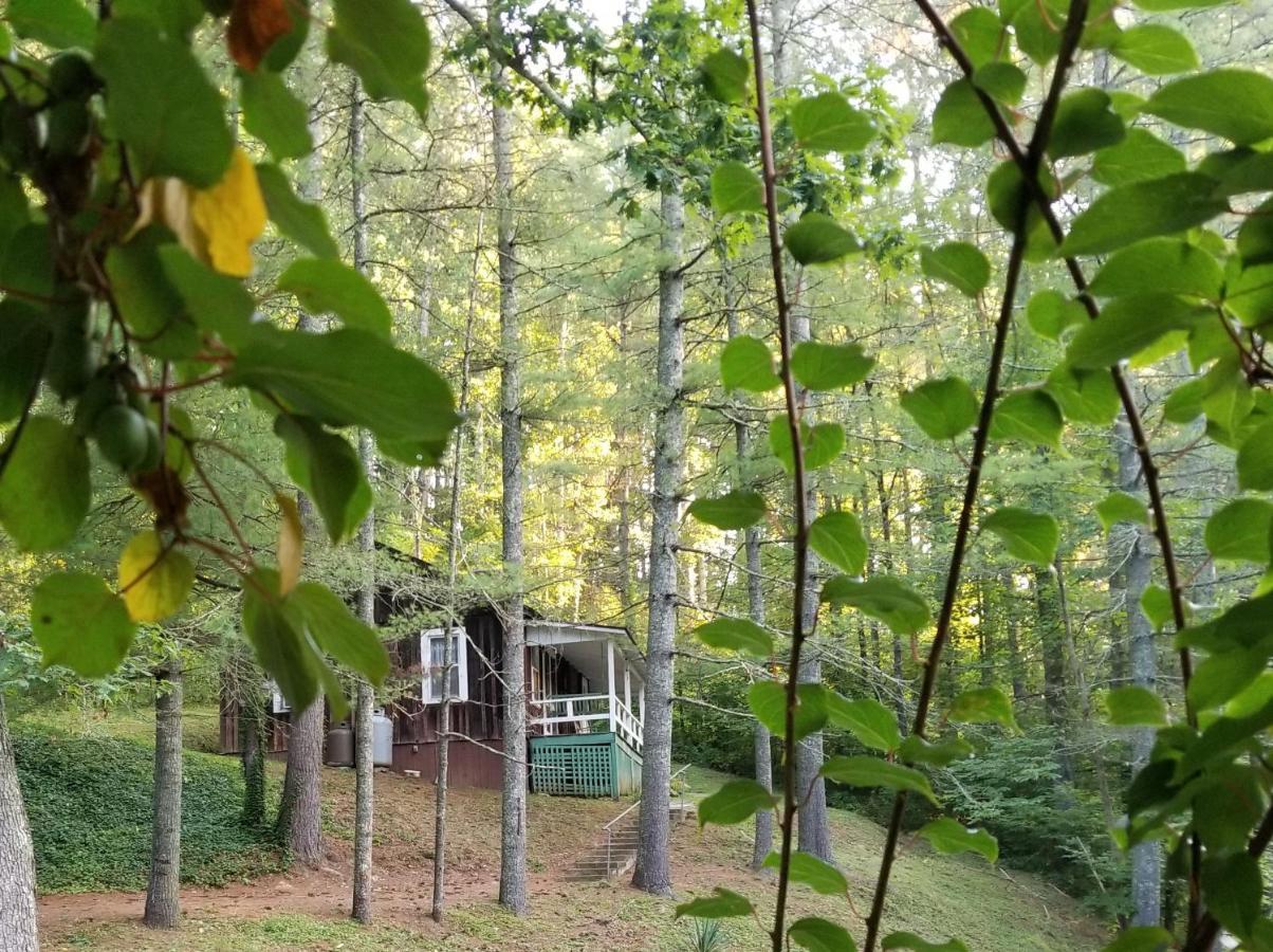 The Cabins At Healing Springs Crumpler Luaran gambar