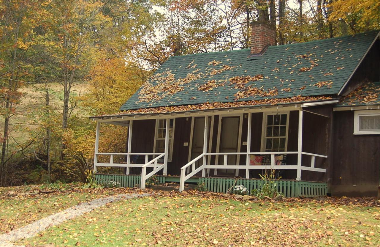 The Cabins At Healing Springs Crumpler Luaran gambar